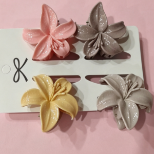 Desert Style Hair Claw Clip4pcs - Image 1