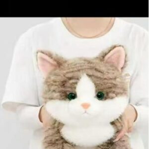 Chubby Orange Cat Doll - Image 1