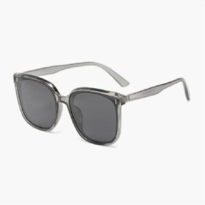 Transparent Grey Frame and Grey Lens Sunglasses 3056 - Image 1