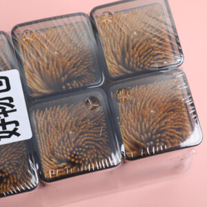 Square Bottle – TC Toothpicks - 7470 - Image 3