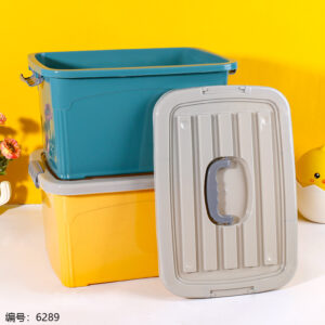 882 New Colorful Organizer - Image 1