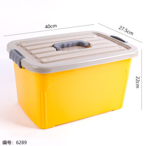 882 New Colorful Organizer - Image 3