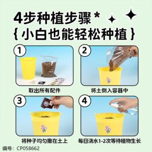 Flower Planting Pot-Mixed Color - Image 4