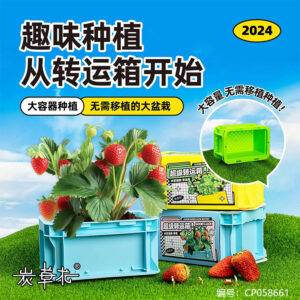 Multi-function Storage Box Planting Pot-Mixed Color - Image 3