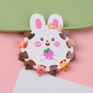 Frosted Claw Clips 10pcs-2 - Image 1