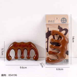 301 Multi-Function Meridian Massage Comb - Image 3