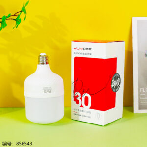 Light Bulb - 30W - Image 1