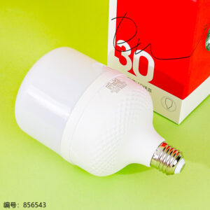 Light Bulb - 30W - Image 2
