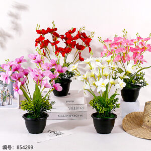 Black Pot Hibiscus Potted Plant (1*15) - Image 1