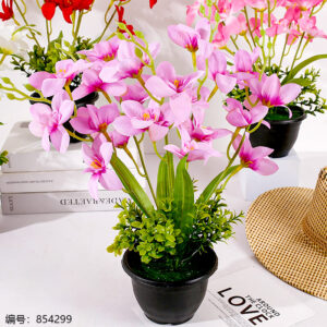 Black Pot Hibiscus Potted Plant (1*15) - Image 2