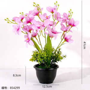 Black Pot Hibiscus Potted Plant (1*15) - Image 3