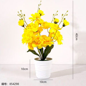 White Pot Peony Potted Plant (1*15) - Image 3