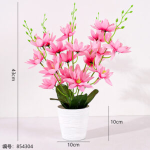 White Pot Snow Lotus Potted Plant (1*15) - Image 3
