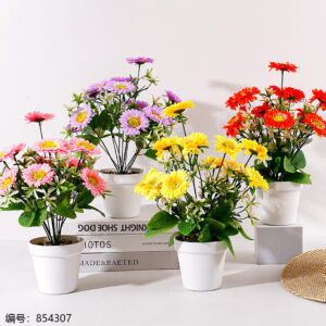 HS-29 White Pot Chrysanthemum Potted Plant (1*15) - Image 1
