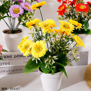 HS-29 White Pot Chrysanthemum Potted Plant (1*15) - Image 2