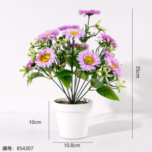 HS-29 White Pot Chrysanthemum Potted Plant (1*15) - Image 3